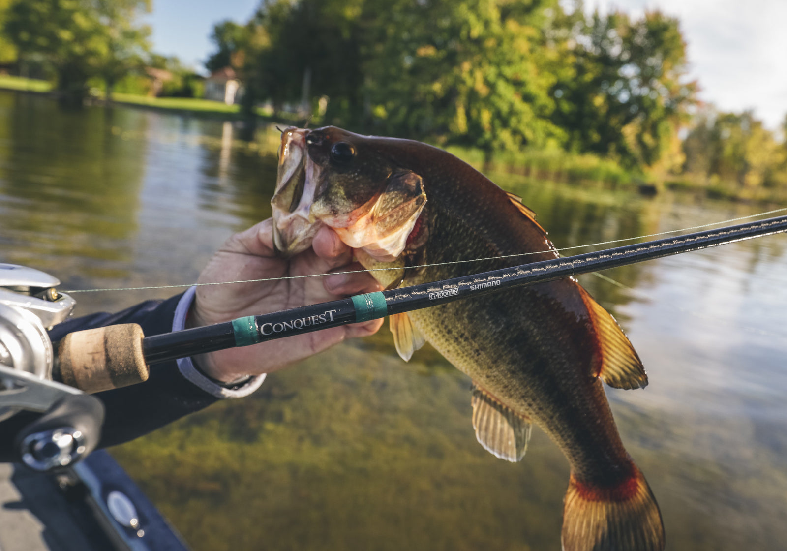 CONQUEST MAG BASS – G. Loomis EU