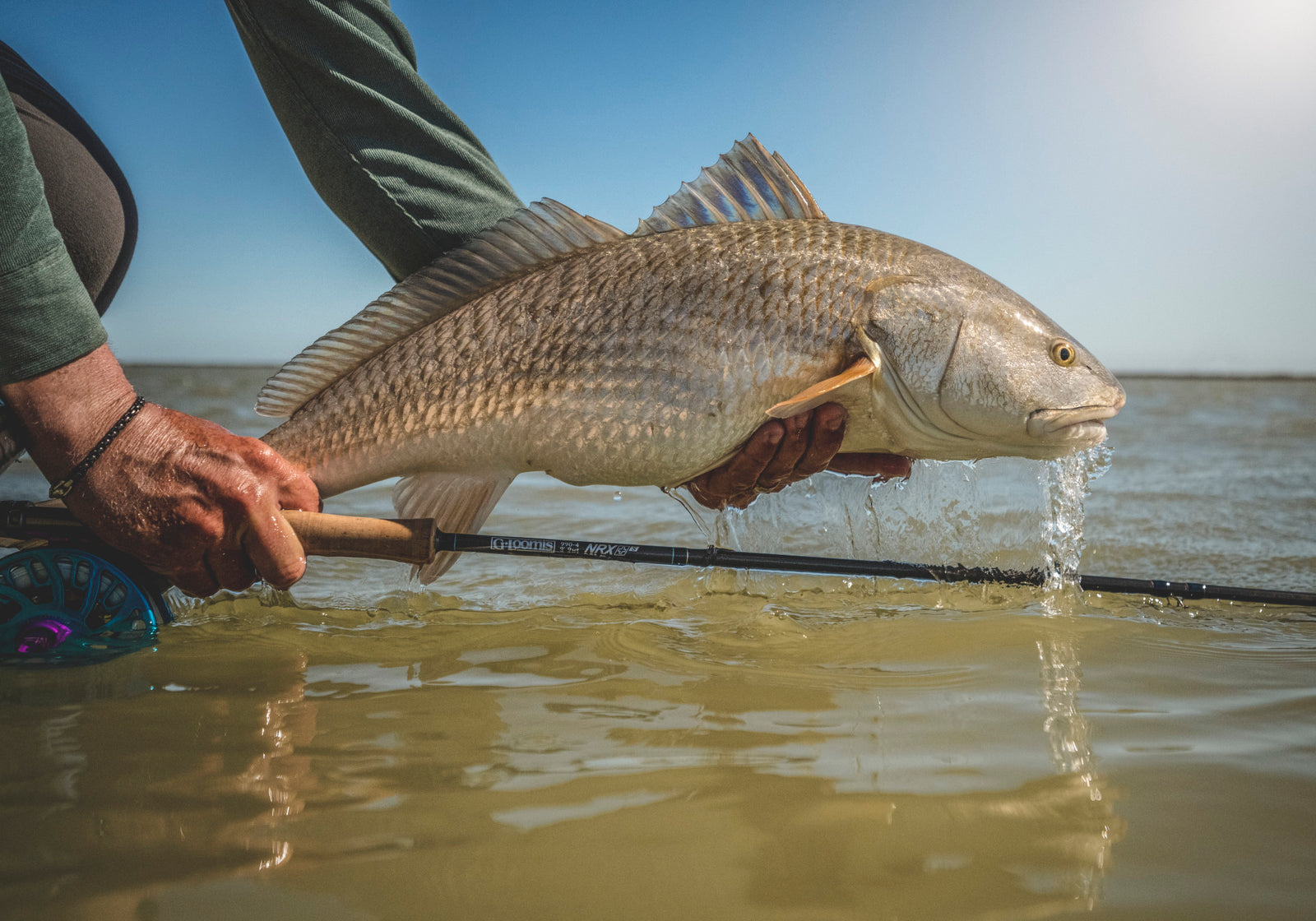 G Loomis NRX+ FLY SALTWATER detail image 3